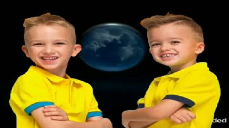 Vlad and Niki Net Worth