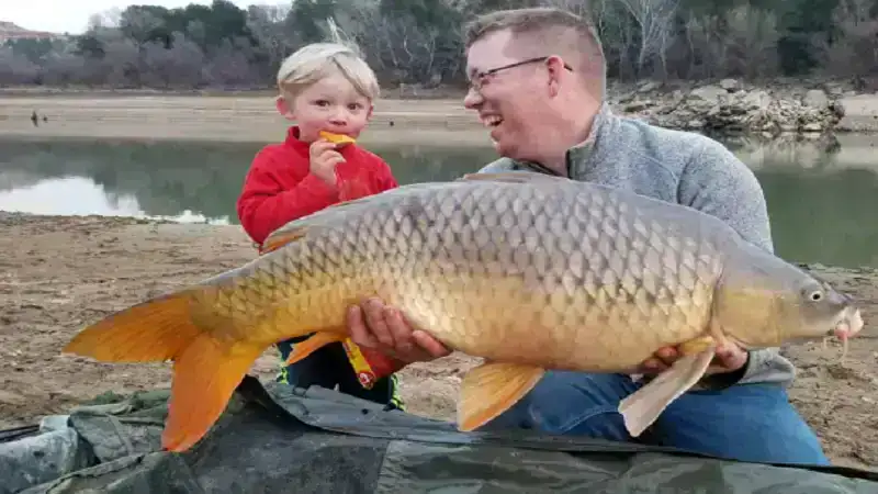 Luke Nichols Net Worth