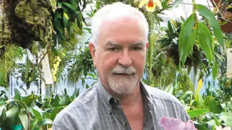 Robert Benevides Net Worth